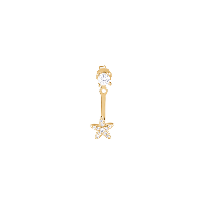 Shell earrings