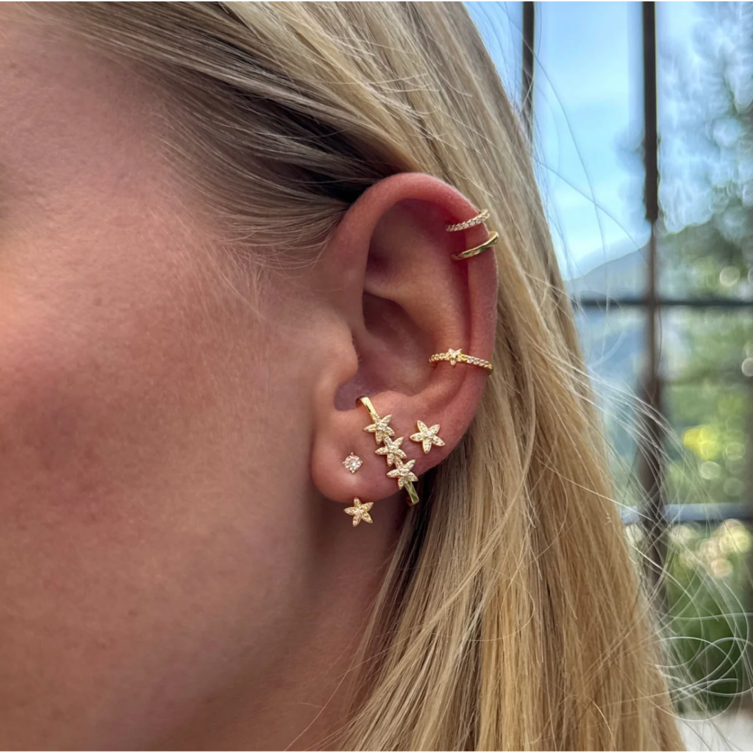 Shell earrings