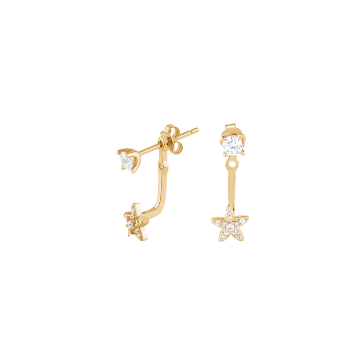 Shell earrings
