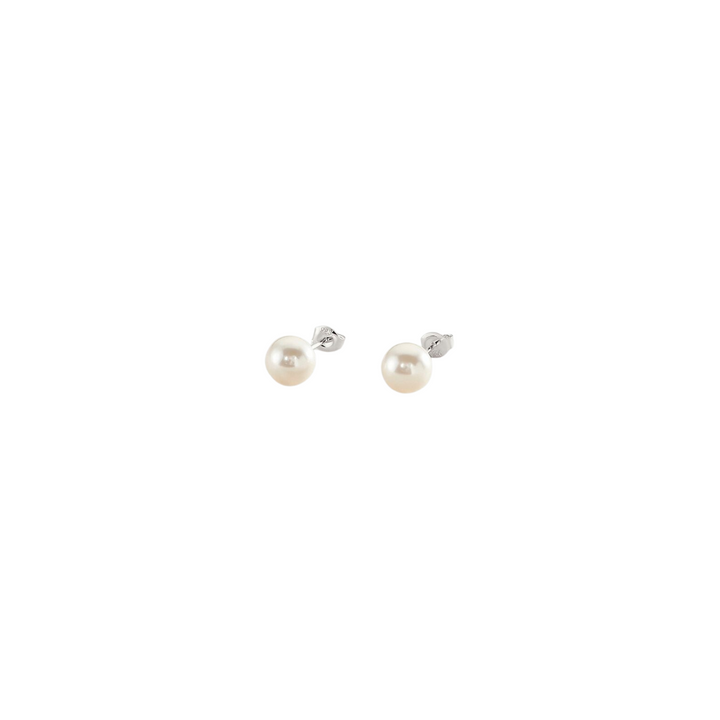 Shell earrings