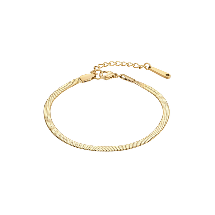 Bracelet Python