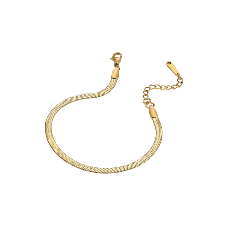 Bracelet Python