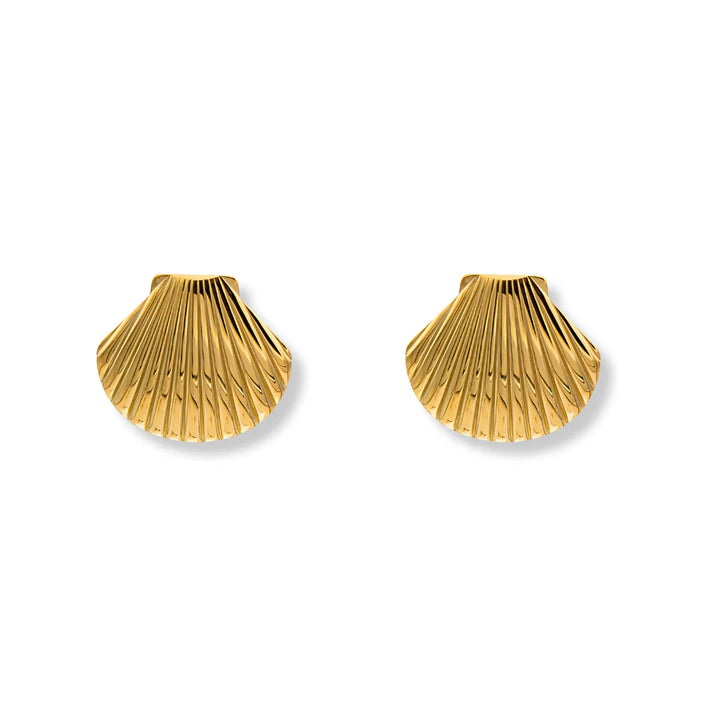 Shell earrings