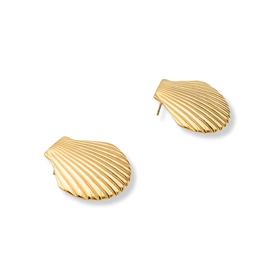 Shell earrings