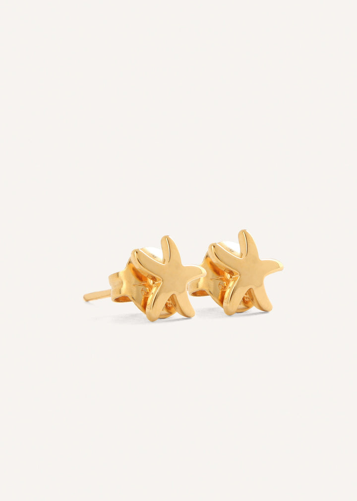 BOUCLES TAHAÏ
