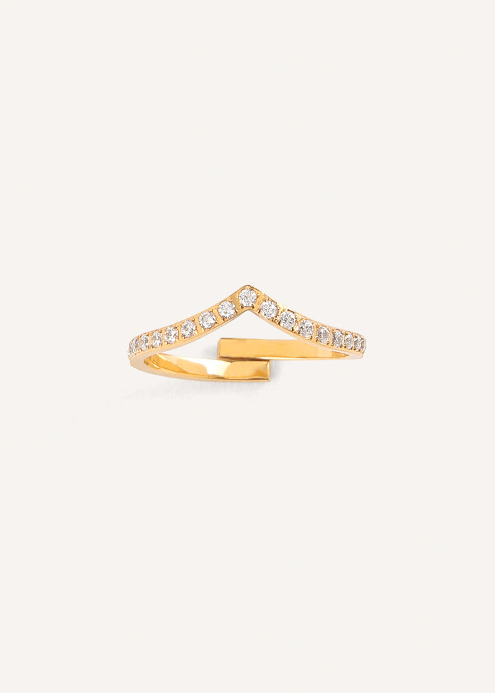 BAGUE BOSTON